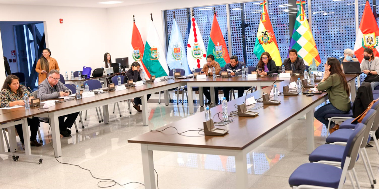 Los legisladores de la Comisión Mixta de Constitución sesionaron ayer. (Foto:  Senado)