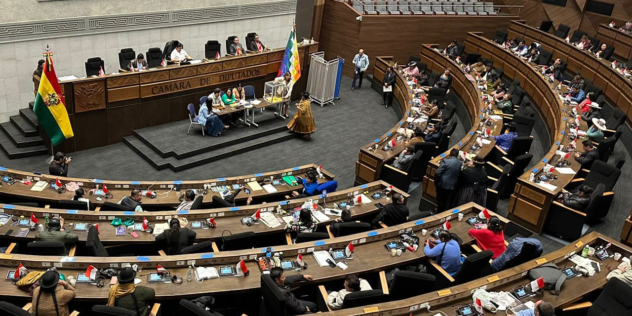 El voto en la Cámara de Diputados. Foto: Diputados