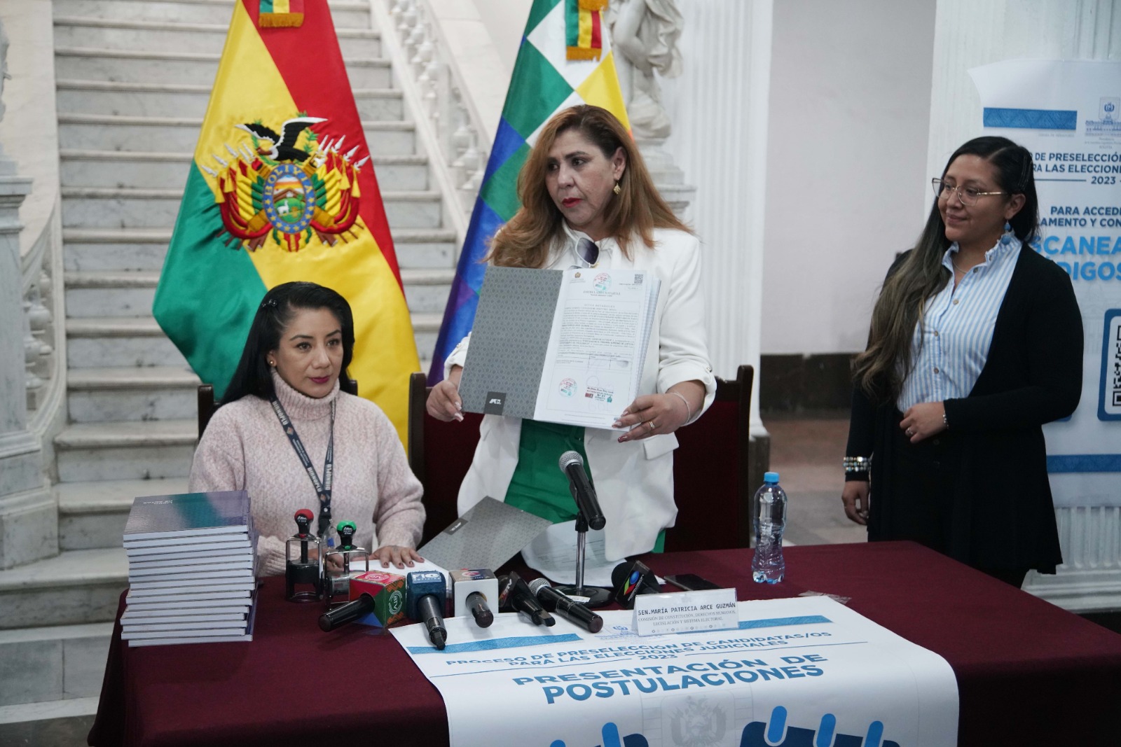 EleccionesJudicialesSuspendiddas28042