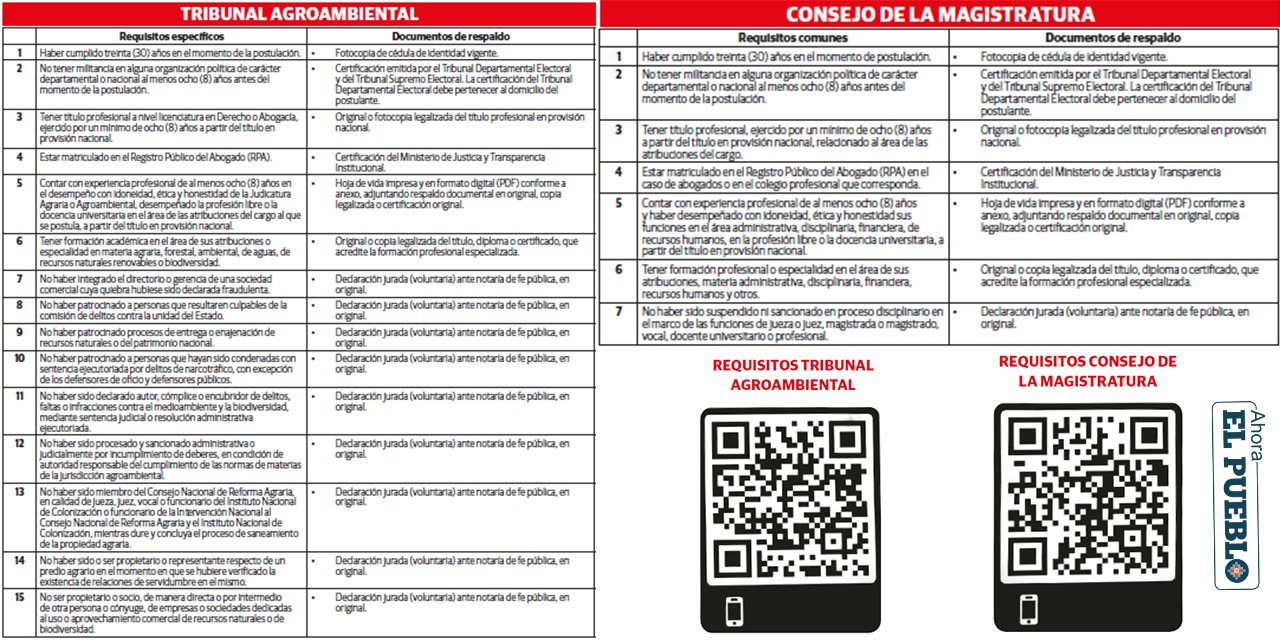 Los postulantes para el Órgano Judicial deben cumplir requisitos específicos 
