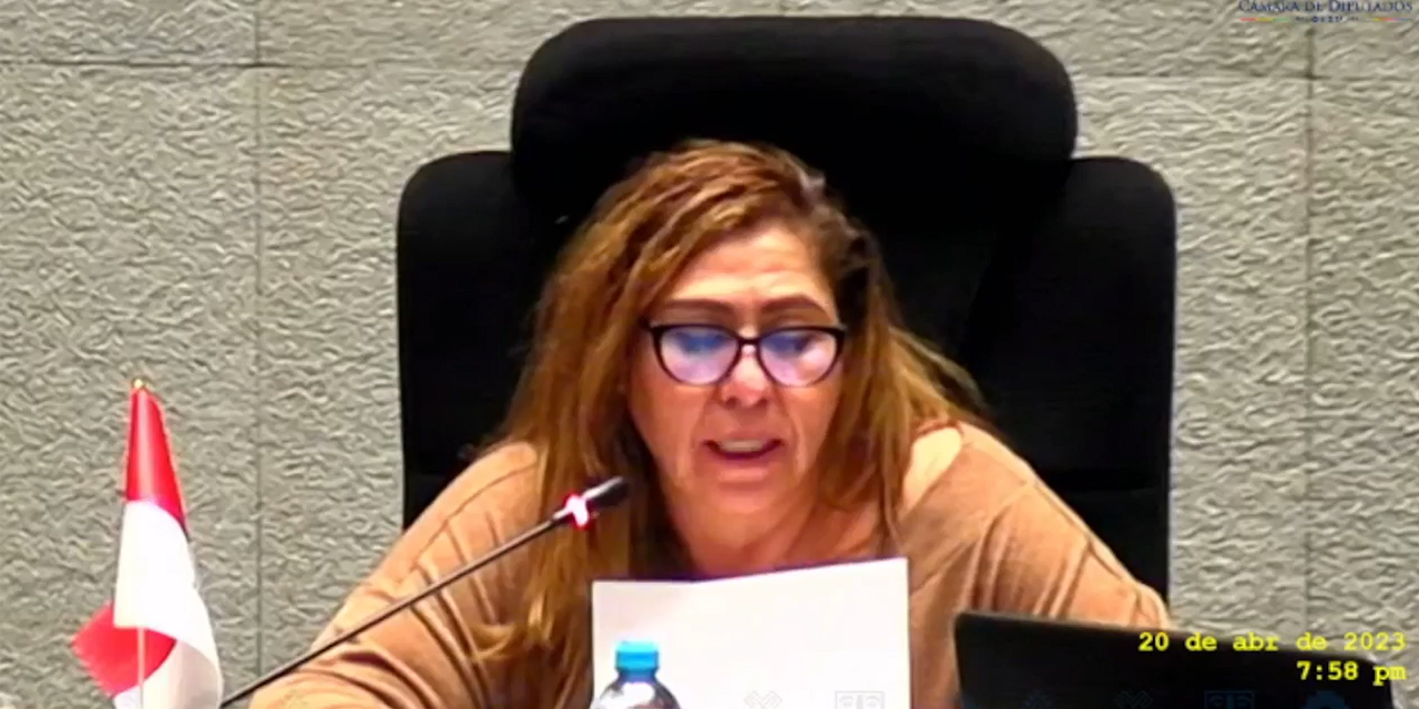 La senadora Patricia Arce explicó las modificaciones