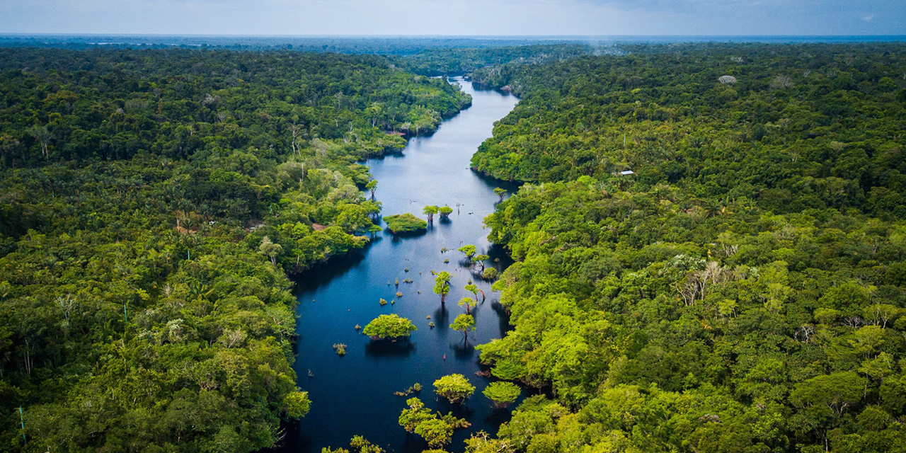 Bolivia se prepara para la IV Cumbre de Estados que integran la amazonia