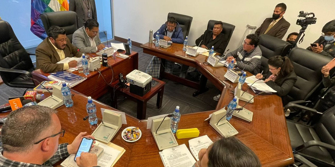 La Comisión de Constitución de Diputados