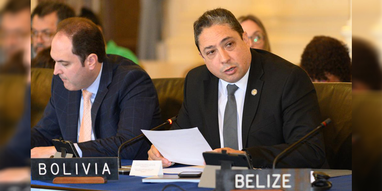 Bolivia es representada por Héctor Arce en la Asamblea General de la OEA