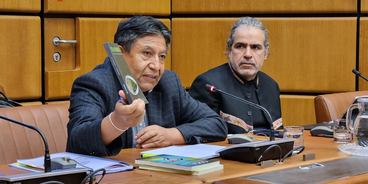 Bolivia avanza en Viena en el examen crítico de la hoja de coca para su desclasificación como estupefaciente