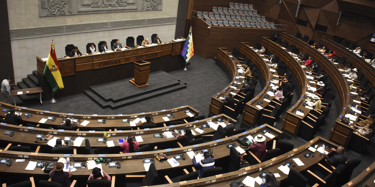 El pleno de la Cámara de Diputados. (Foto: Gonzalo Jallasi)