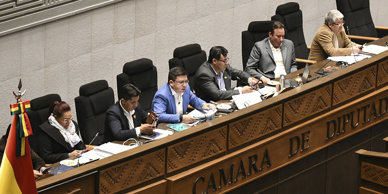 El ministro de Planificación, Sergio Cusicanqui, en el pleno de la Cámara de Diputados. (Foto: Gonzalo Jallasi)