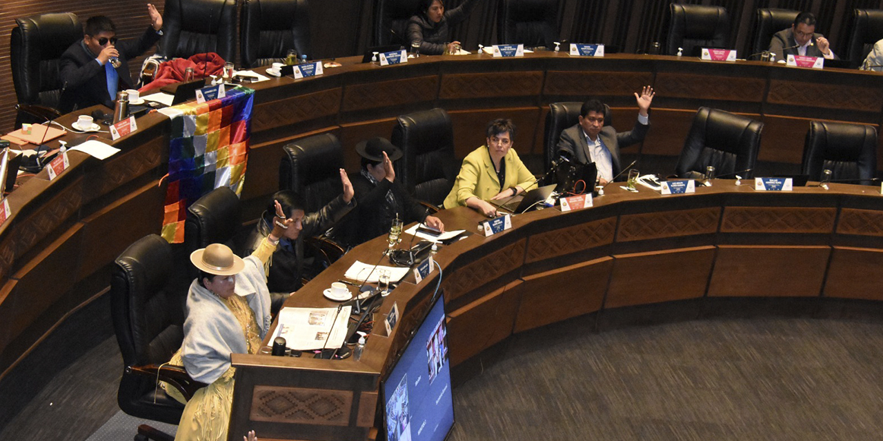 El pleno de la Cámara de Senadores. (Foto: Gonzalo Jallasi)