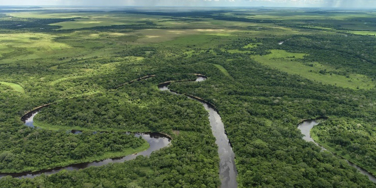 La amazonia, considerada el pulmón del mundo. (Foto: WWF)