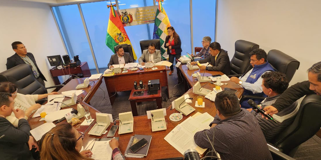 La reunión de la Comisión de Constitución. / Foto: Diputados