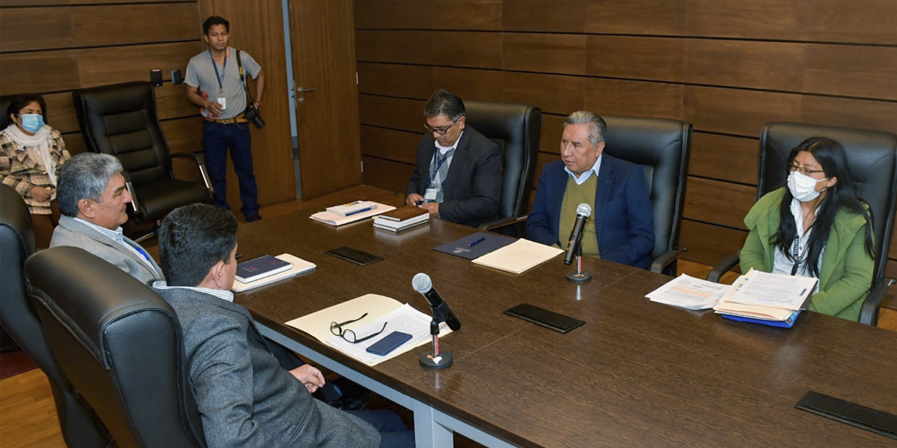 El canciller Rogelio Mayta en la Comisión Especial del Senado.