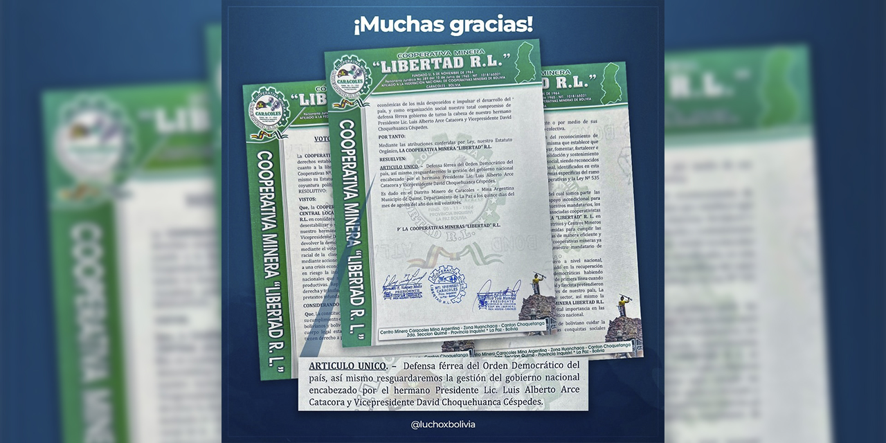 El voto resolutivo de apoyo de la cooperativa Libertad a Luis Arce.