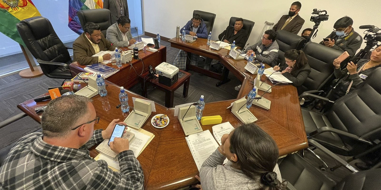 Sesión de la Comisión de Constitución de la Cámara de Diputados. Foto: Facebook CD