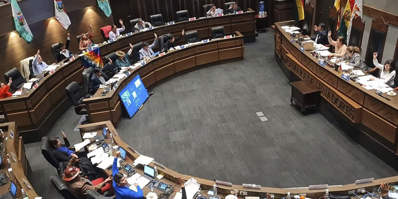 El pleno de la Cámara de Senadores.