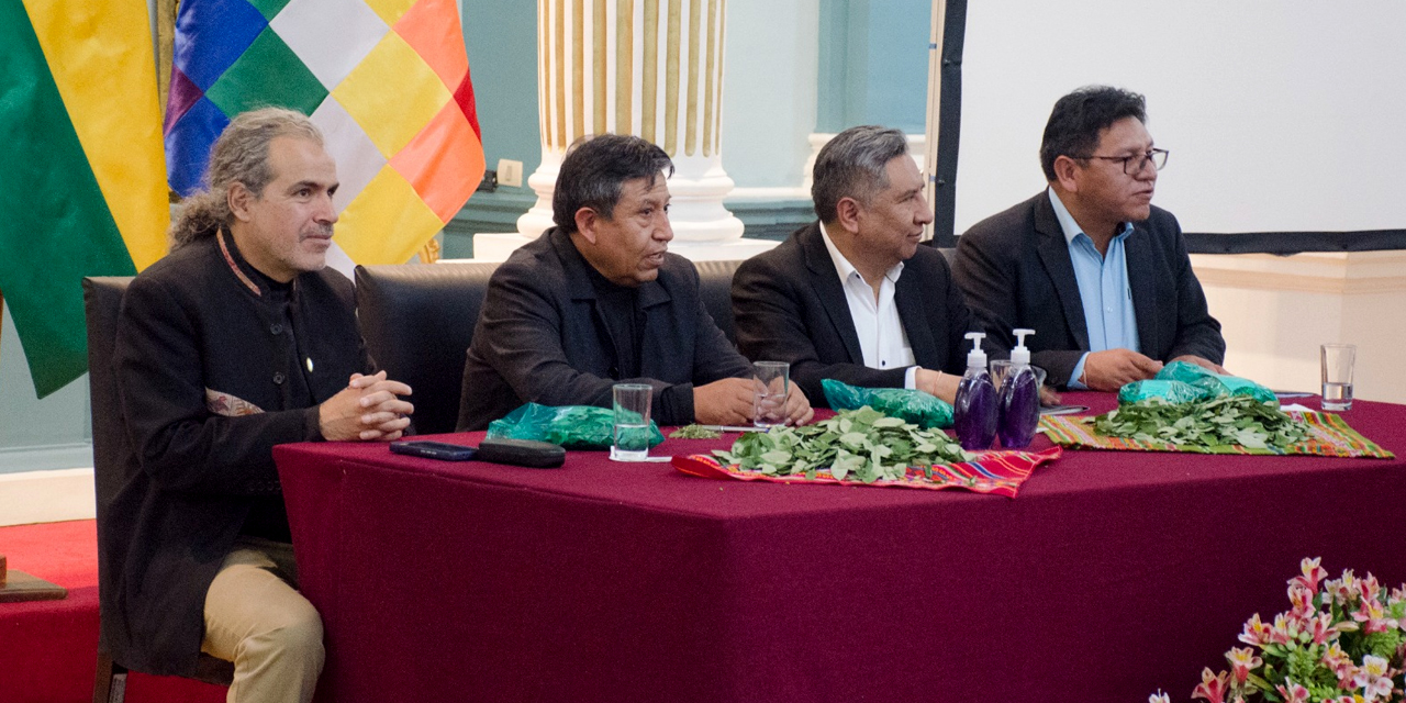 Autoridades participaron del evento "Revisión crítica de la clasificación de la hoja de coca en la Convención de Naciones Unidas sobre estupefacientes de 1961". | Foto: Vicepresidencia