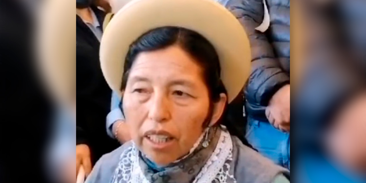 La ejecutiva de las mujeres campesinas Bartolina Sisa de Tarija, Julia Ramos. 