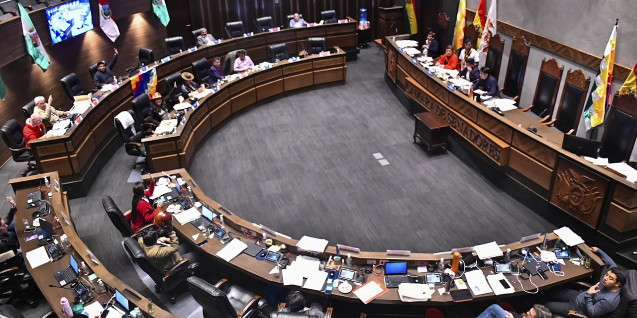 El “ala evista” rechazó el proyecto de Ley del Presupuesto Reformulado 2023. | Foto: Senado