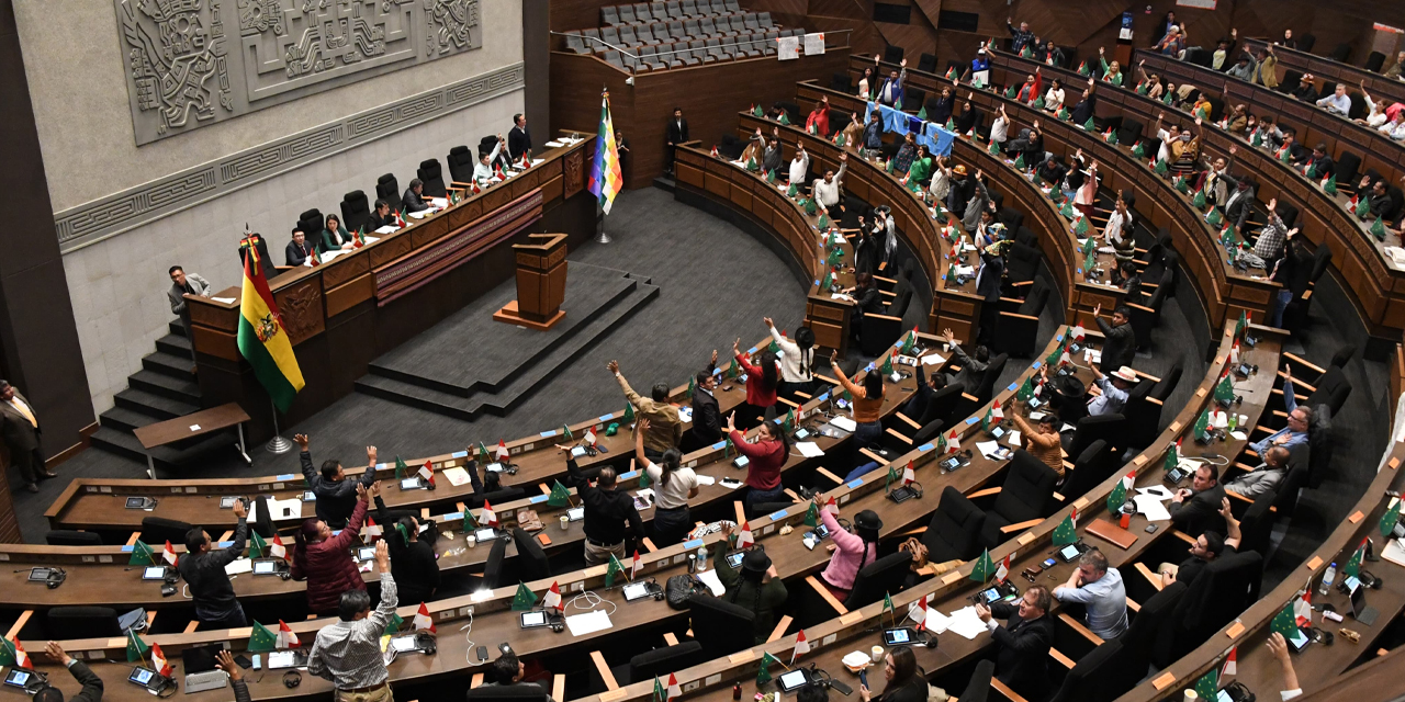 Una de las sesiones de la Asamblea Legislativa Plurinacional (ALP). Foto: Archivo