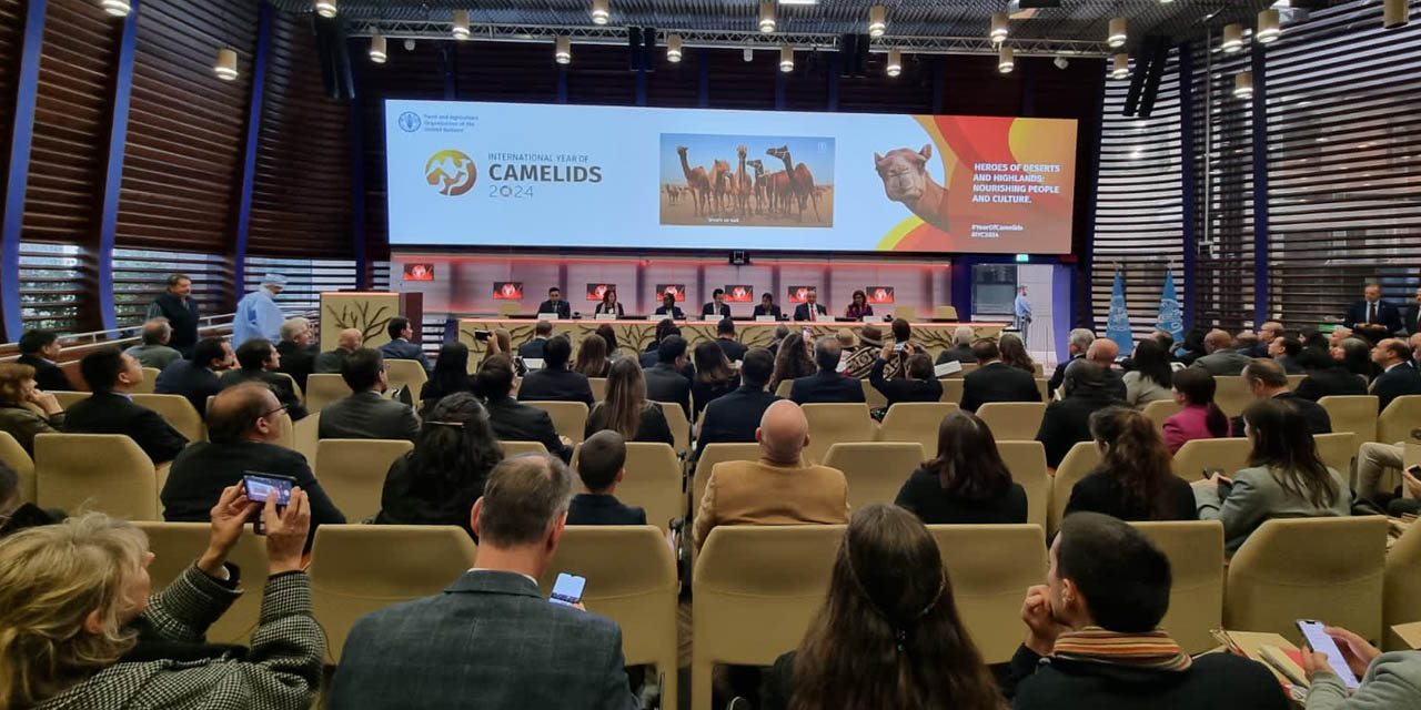 Inauguración del Año Internacional de los Camélidos en Roma, Italia.