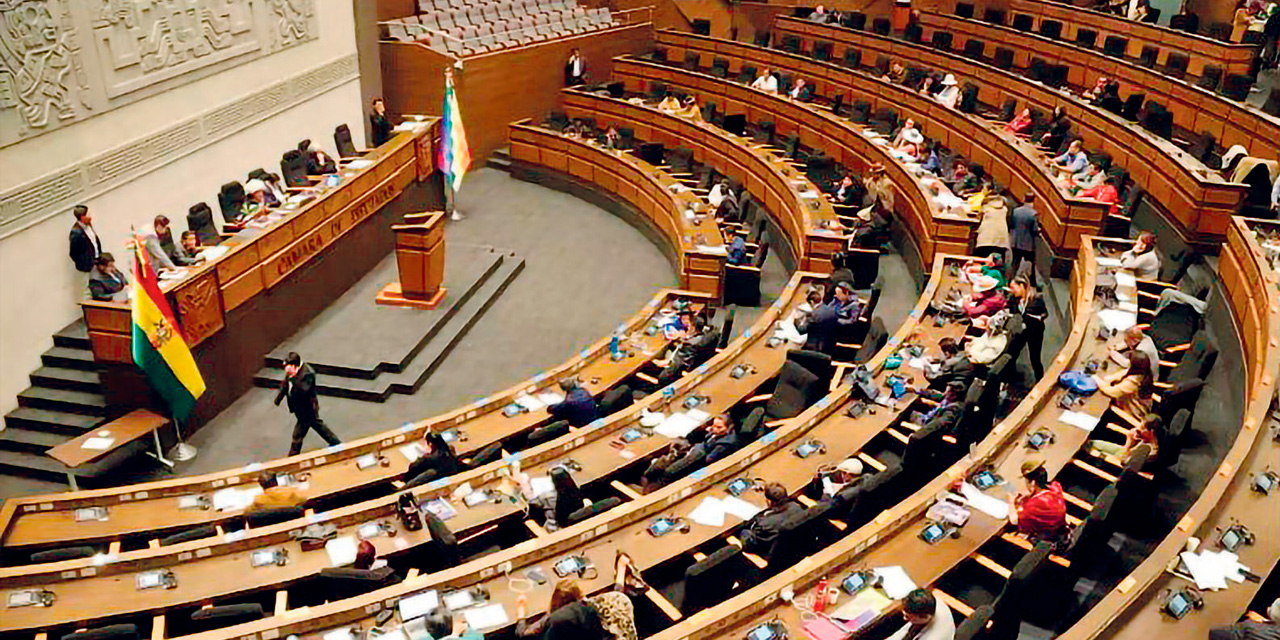 Pleno de la Cámara de Diputados. Foto: ALP