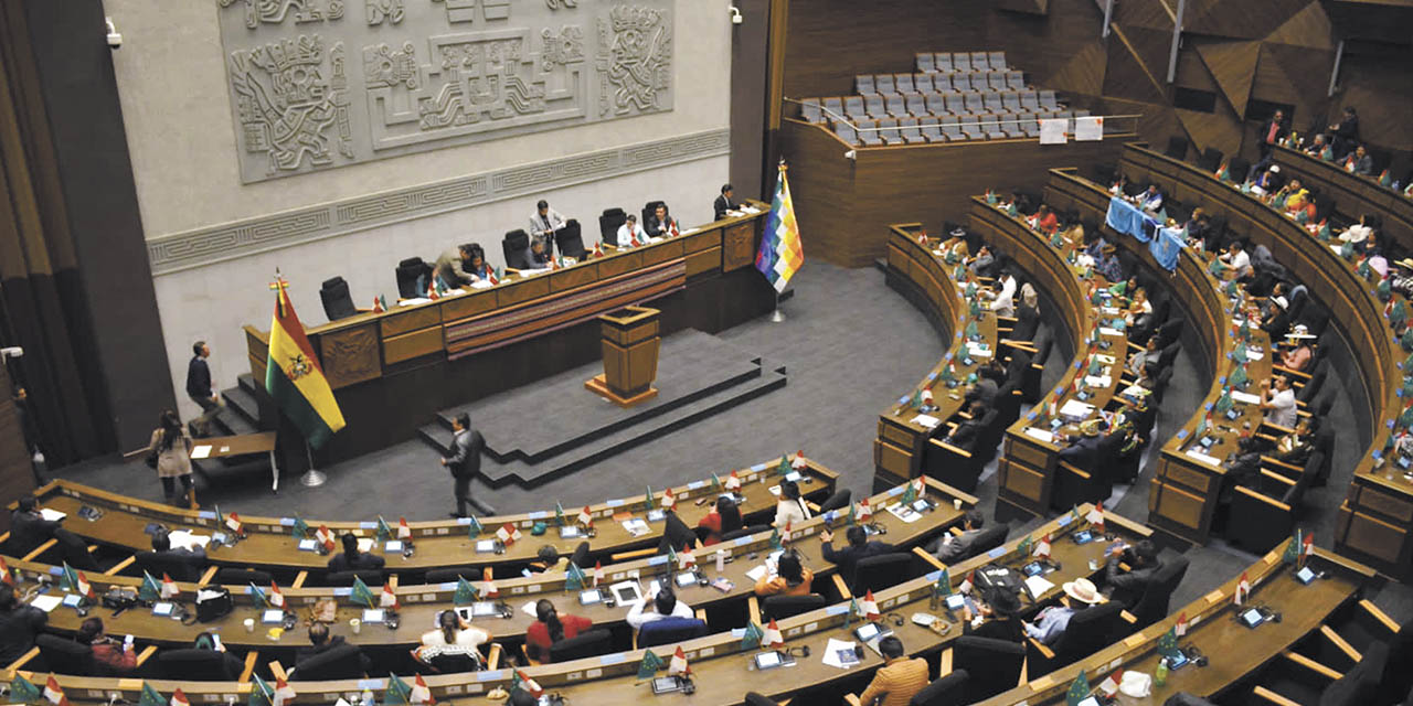 El pleno de la Asamblea Legislativa Plurinacional del Estado. | Foto: VPEP