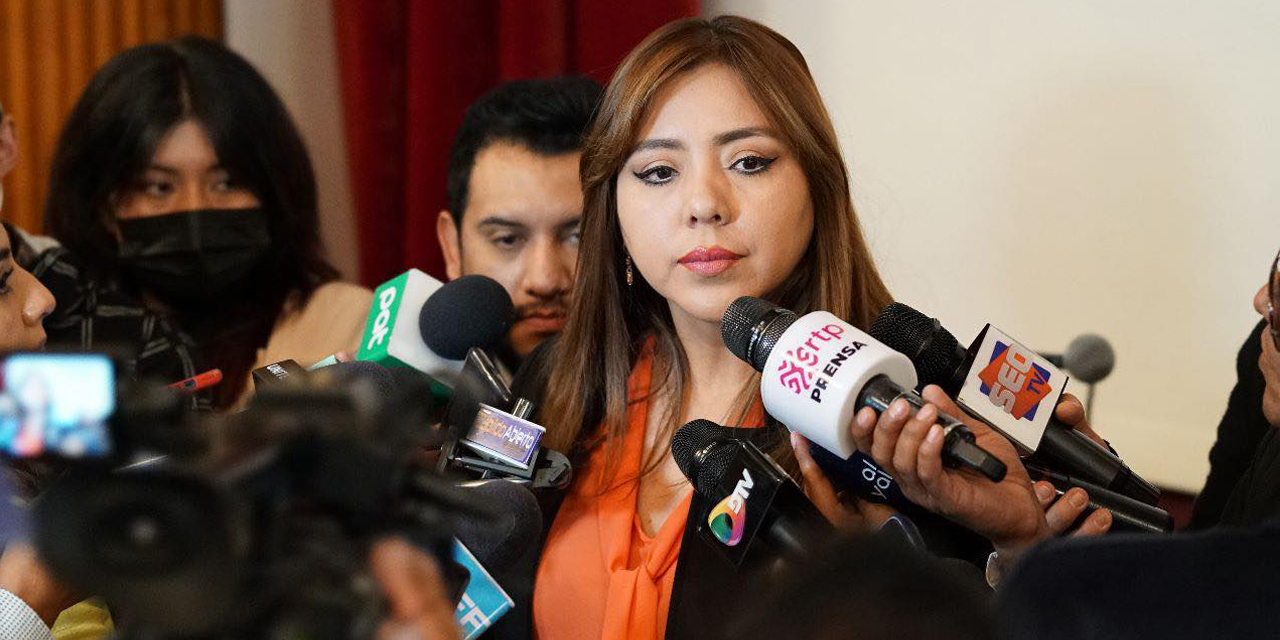 La viceministra Gabriela Alcón