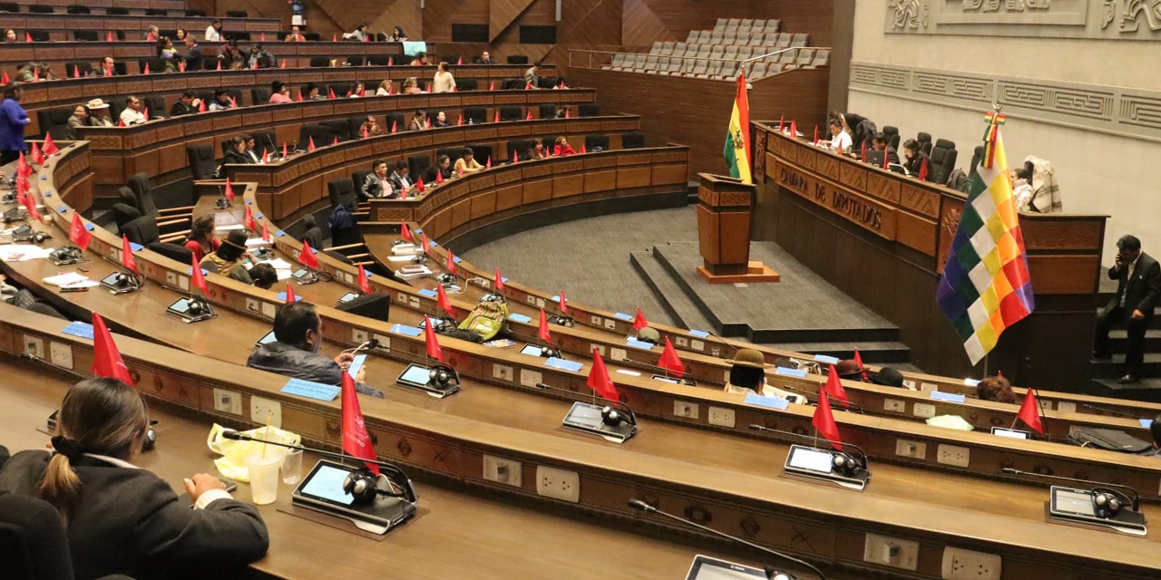 La sesión de la Cámara de Diputados. Foto: CD