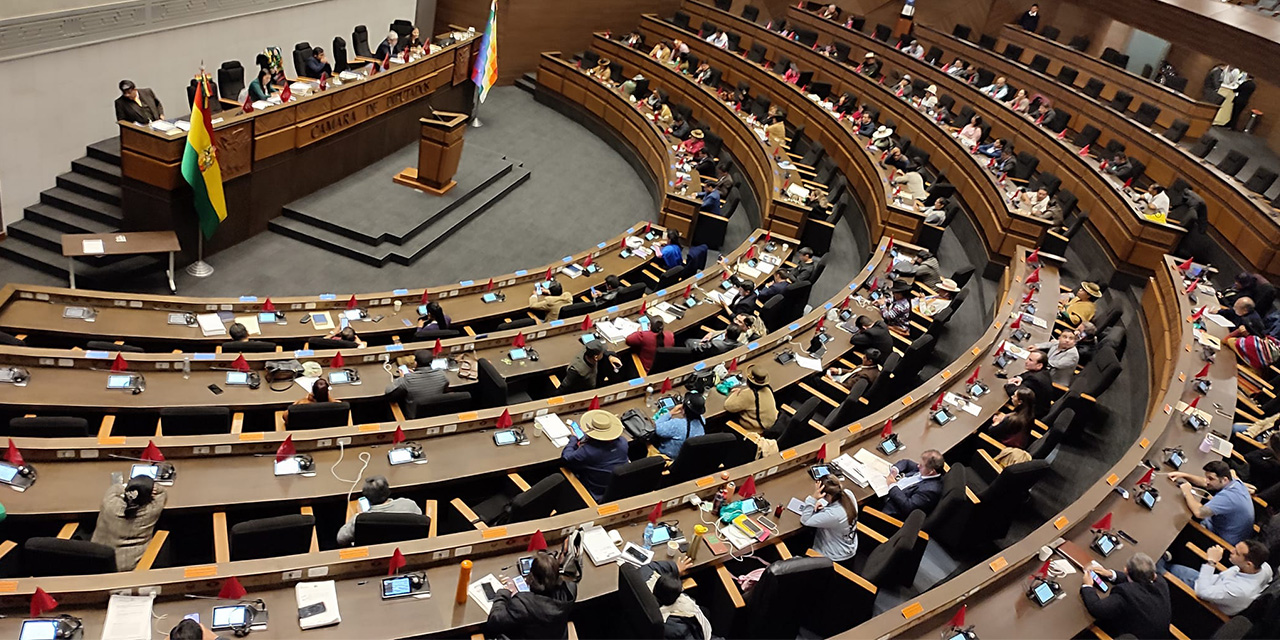 Diputados prevé retomar esta semana proyectos de ley de créditos y contra la prórroga judicial