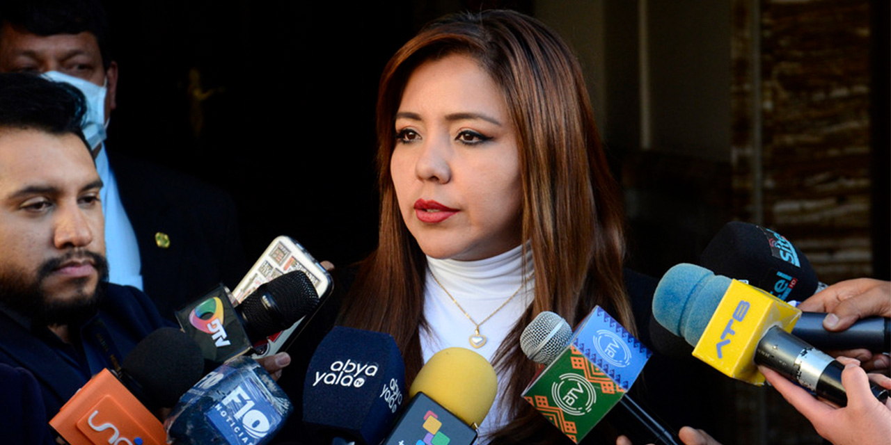 Viceministra Alcón garantiza promulgación inmediata de la ley para elecciones judiciales