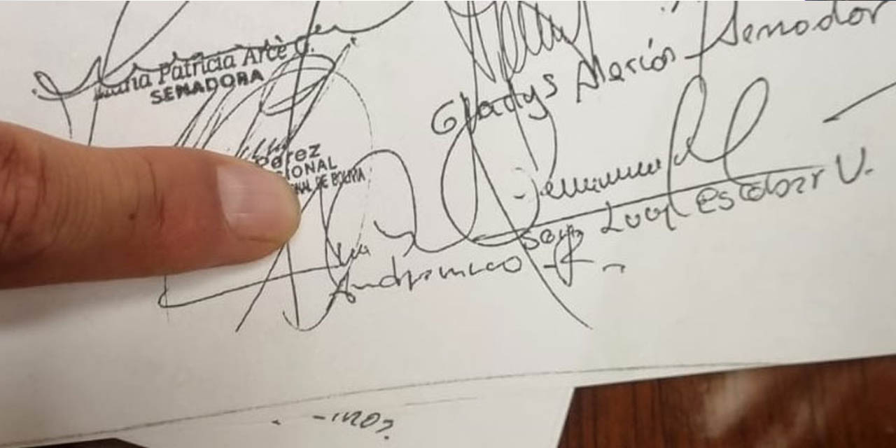 El presidente del Senado, Andrónico Rodríguez, dice que se “ha recepcionado con una firma” la agenda opositora. Foto: Erbol