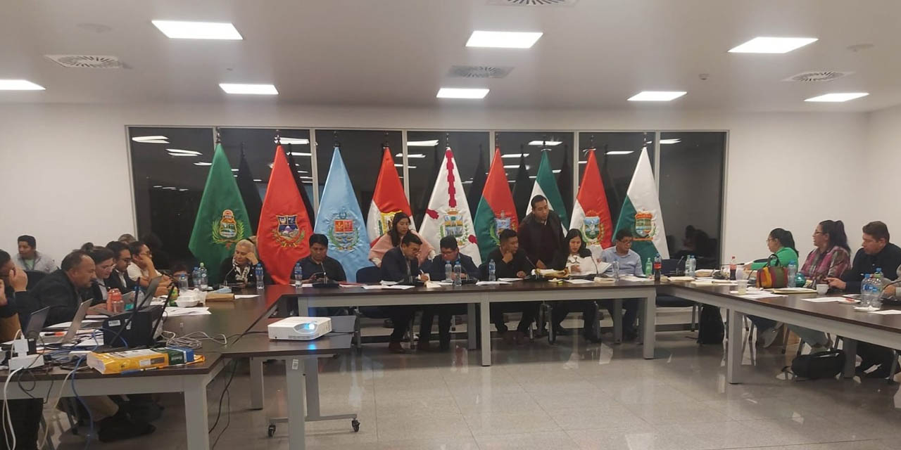 La Comisión Mixta de Constitución y Justicia Plural. | Foto: Senado