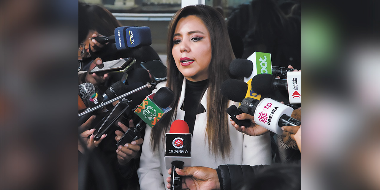 La viceministra Gabriela Alcón se refiere a las elecciones judiciales, durante una rueda de prensa en La Paz. Foto: Jorge Mamani