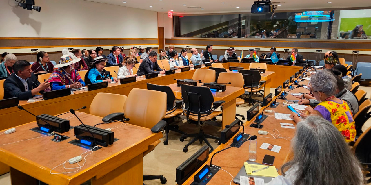 Evento paralelo que en el marco del 23º período de sesiones del Foro Permanente de la ONU para las Cuestiones Indígenas. | Foto: Vicepresidencia