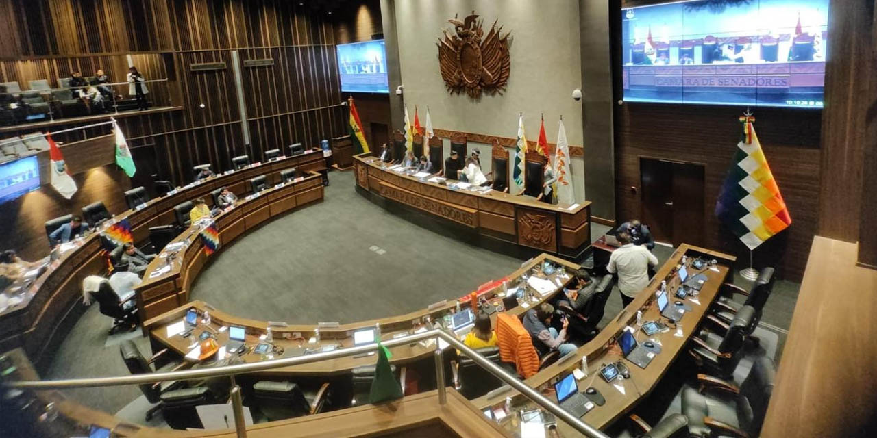 Una sesión en la Cámara de Senadores. | Foto: Archivo