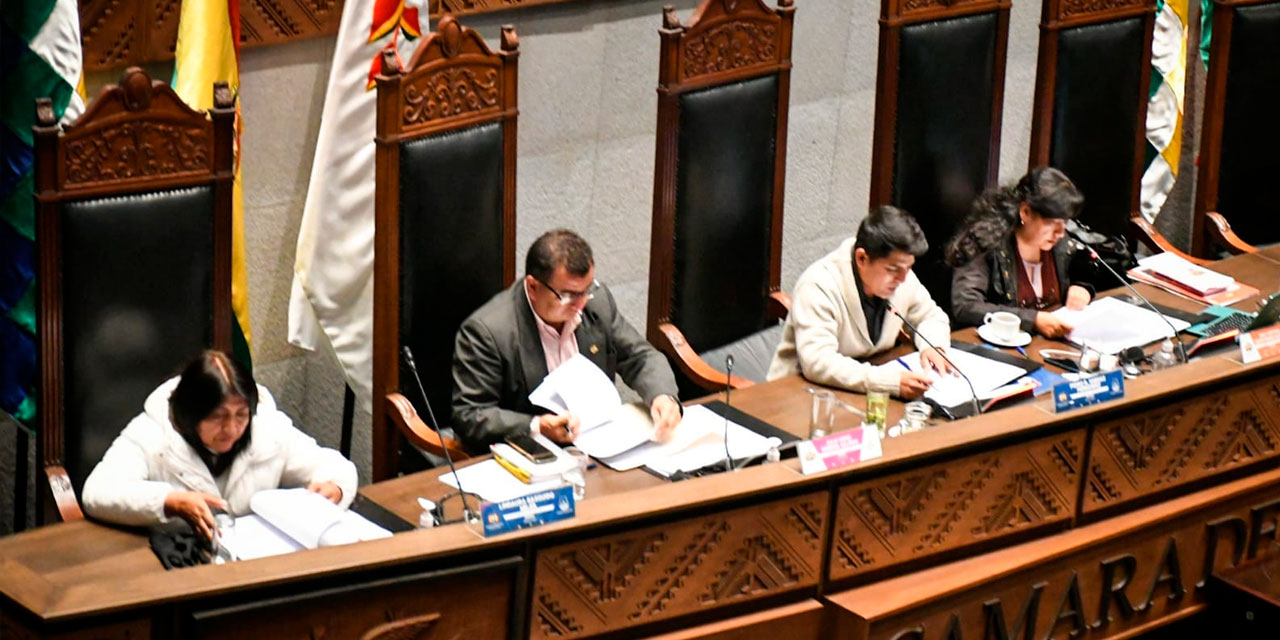 La Cámara de Senadores, presidida por Daly Santamaría (CC), remitió la solicitud de tratar los proyectos de ley en la sesión de Asamblea de este jueves. Foto: Senado