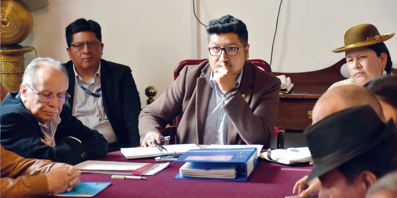 La mesa técnica que se desarrolló en la Comisión de Planificación de Diputados  presidida por Omar Yujra. | Foto: Diputados