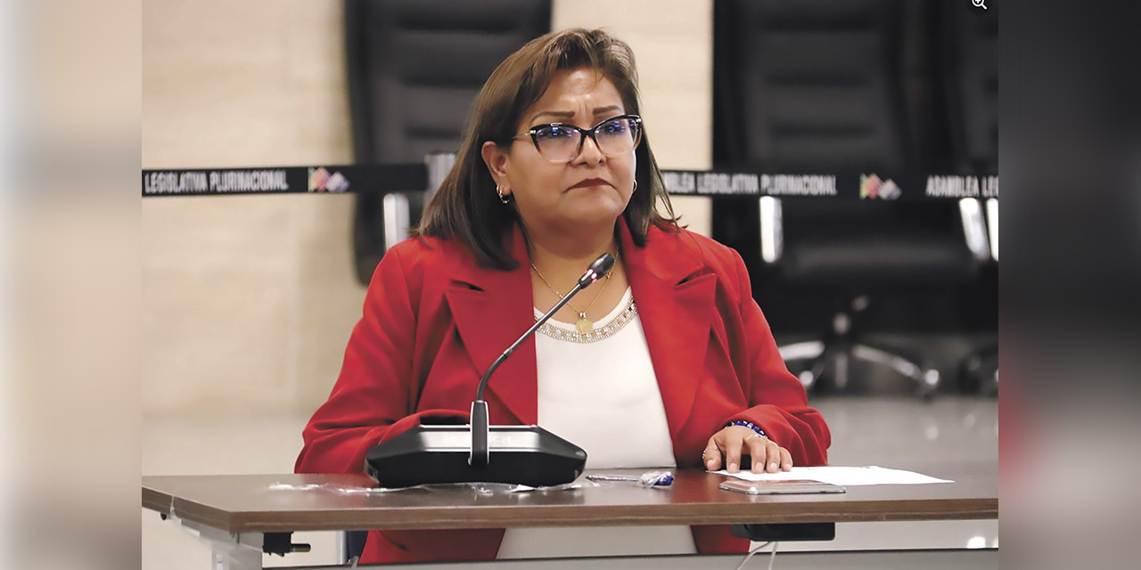 La postulante al Consejo de la Magistratura Patricia Felisa Castillo Siles.  | Foto: Diputados Bolivia