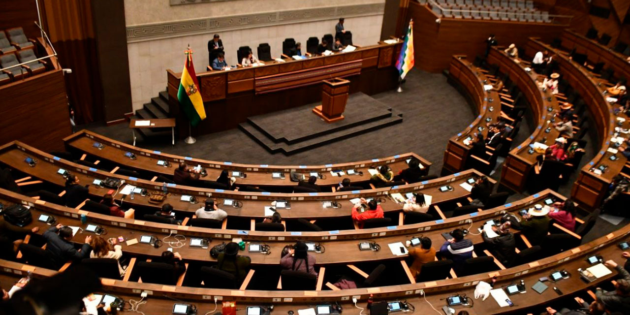 La Cámara de Diputados será la primera instancia de la Asamblea en tratar el proyecto de ley de suspensión de las primarias. Foto: Diputados
