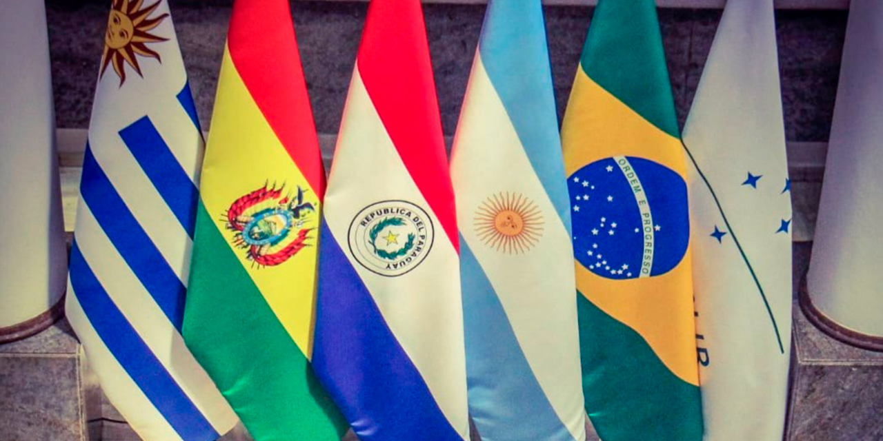 Foto: PÁGINA MERCOSUR