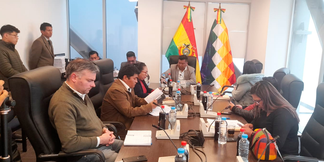 La sesión de la Comisión de Justicia Plural de la Cámara de Diputados. Foto: CD