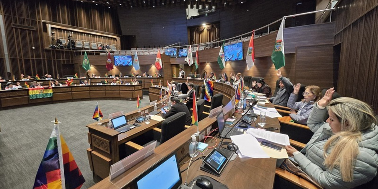 Sesión del Senado- Foto:Senado