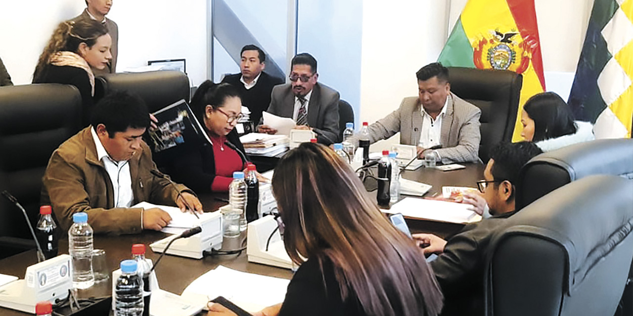 Sesión de la Comisión de Justicia Plural de la Cámara Baja. | Foto: Diputados
