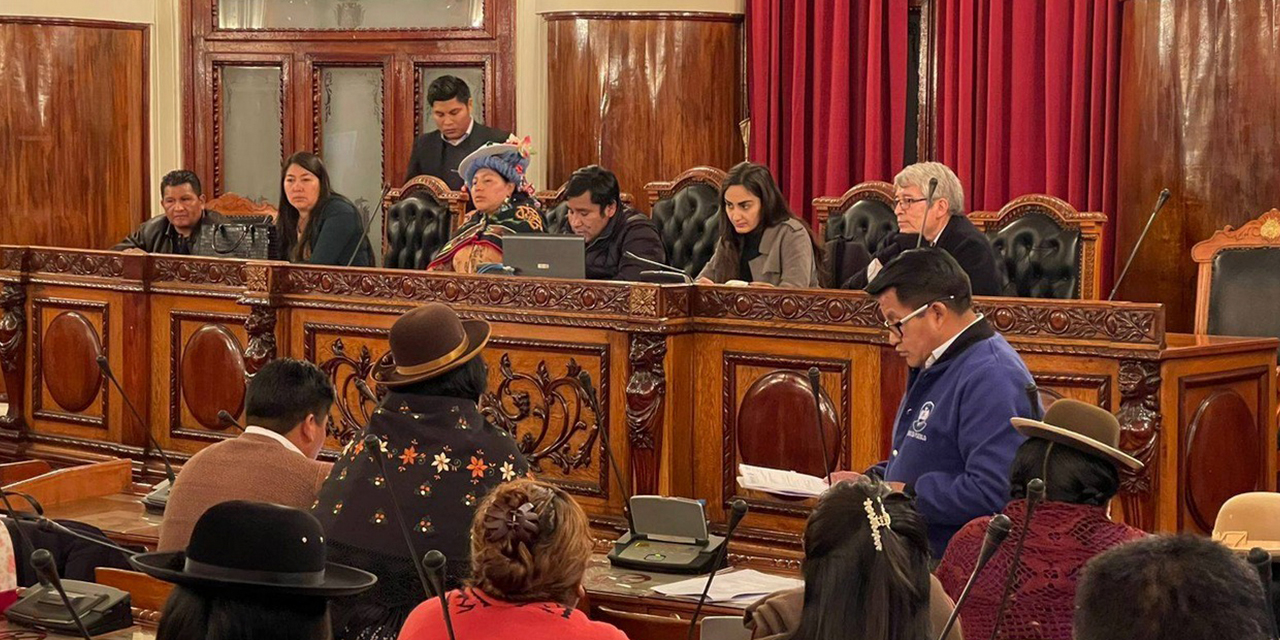 Los legisladores sesionan en el antiguo hemiciclo de la Cámara de Diputados. Foto: Diputados