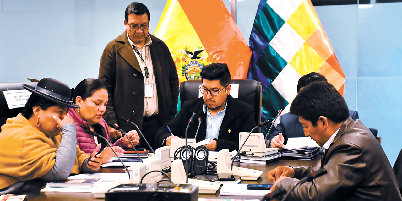 La Comisión de Planificación en sesión. Foto: Diputados