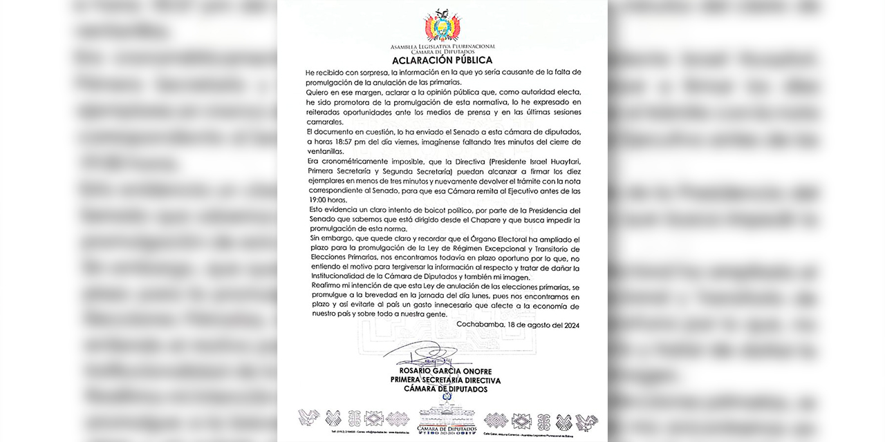 Nota de la aclaración pública de la diputada Rosario García. Foto: RRSS