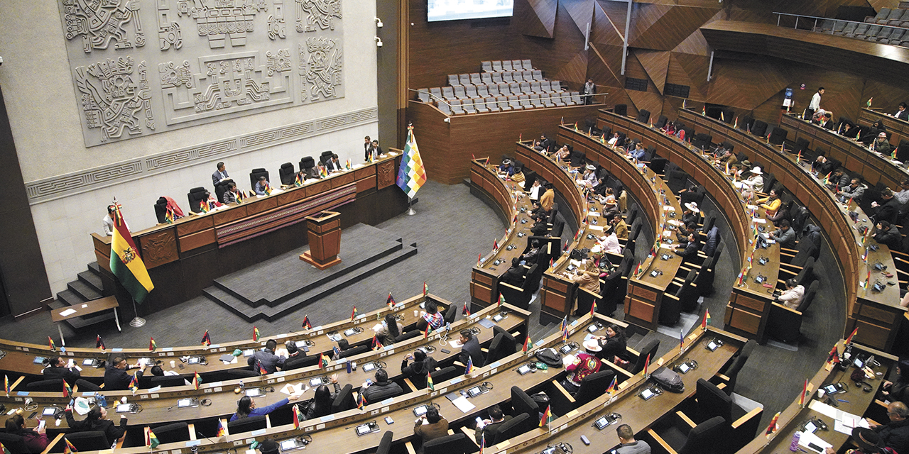 Sesión plenaria en la Asamblea.