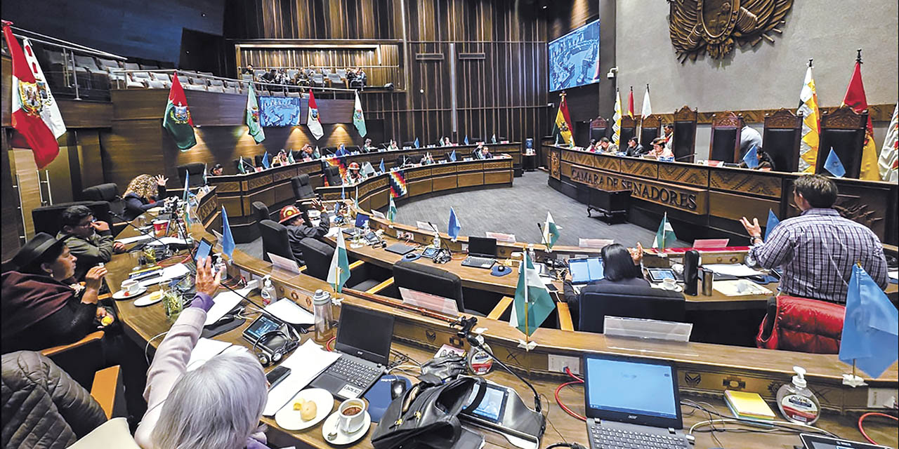 Votación en la Cámara de Senadores de la Asamblea Legislativa Plurinacional. | Foto: Senado Bolivia