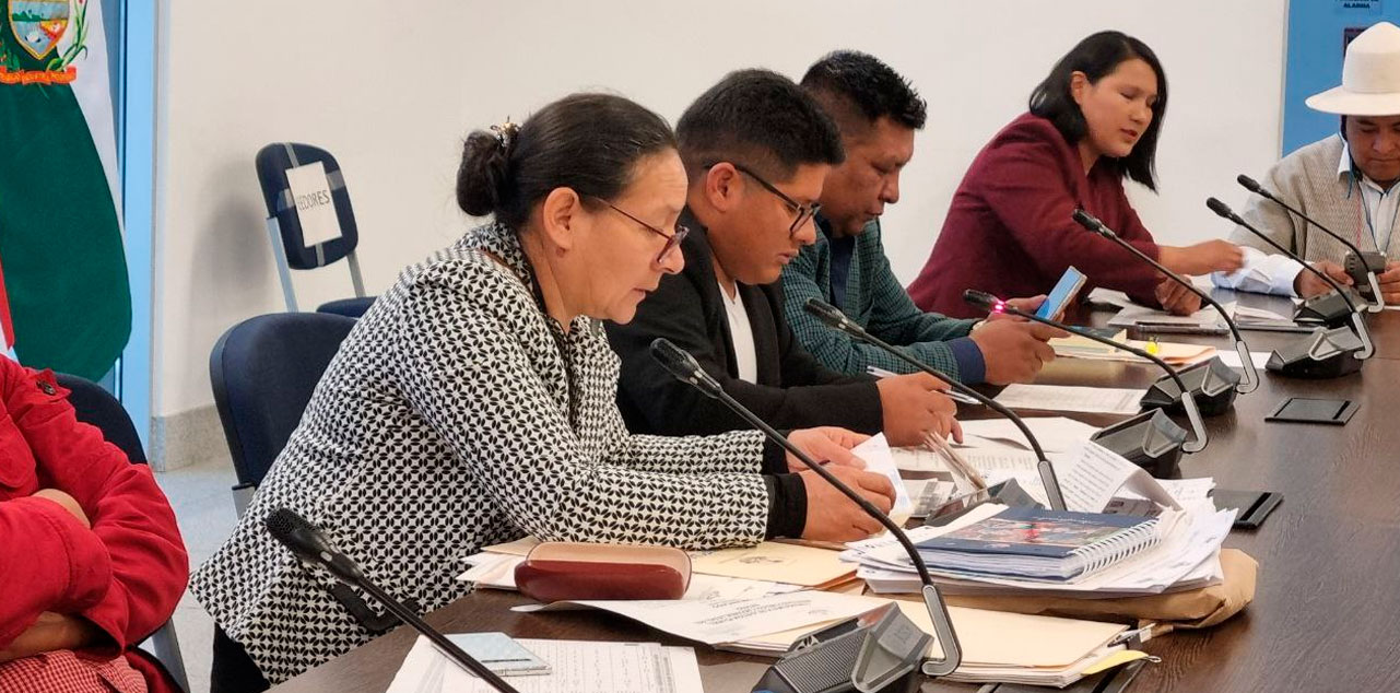 La sesión de la Comisión Mixta de Justicia Plural. Foto: Cámara de Diputados