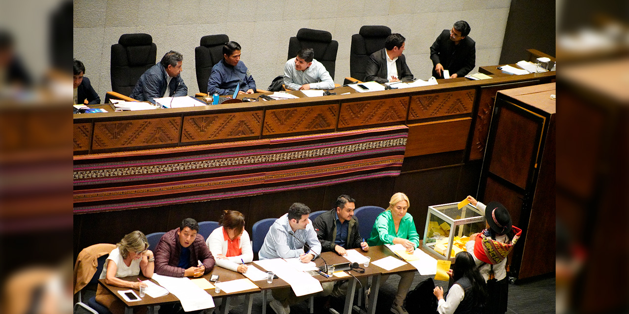 Votación en la Asamblea Legislativa Plurinacional para elegir al nuevo fiscal general. Foto:  Jorge Mamani