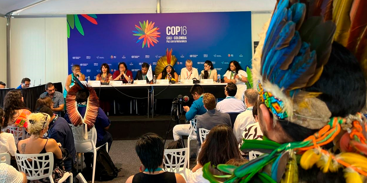 Representantes indígenas durante un encuentro. Foto:  COP16